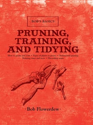cover image of Pruning, Training, and Tidying